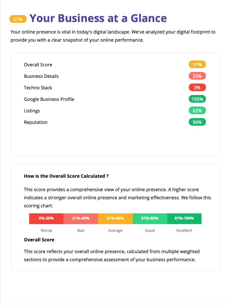 AI Business Audit Report